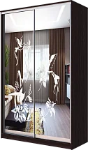 Шкаф-купе 2-х дверный с пескоструйным рисунком Колибри